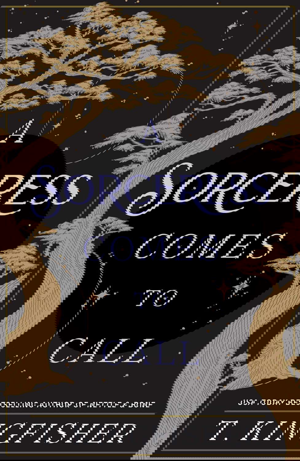 A Sorceress Comes to Call poster