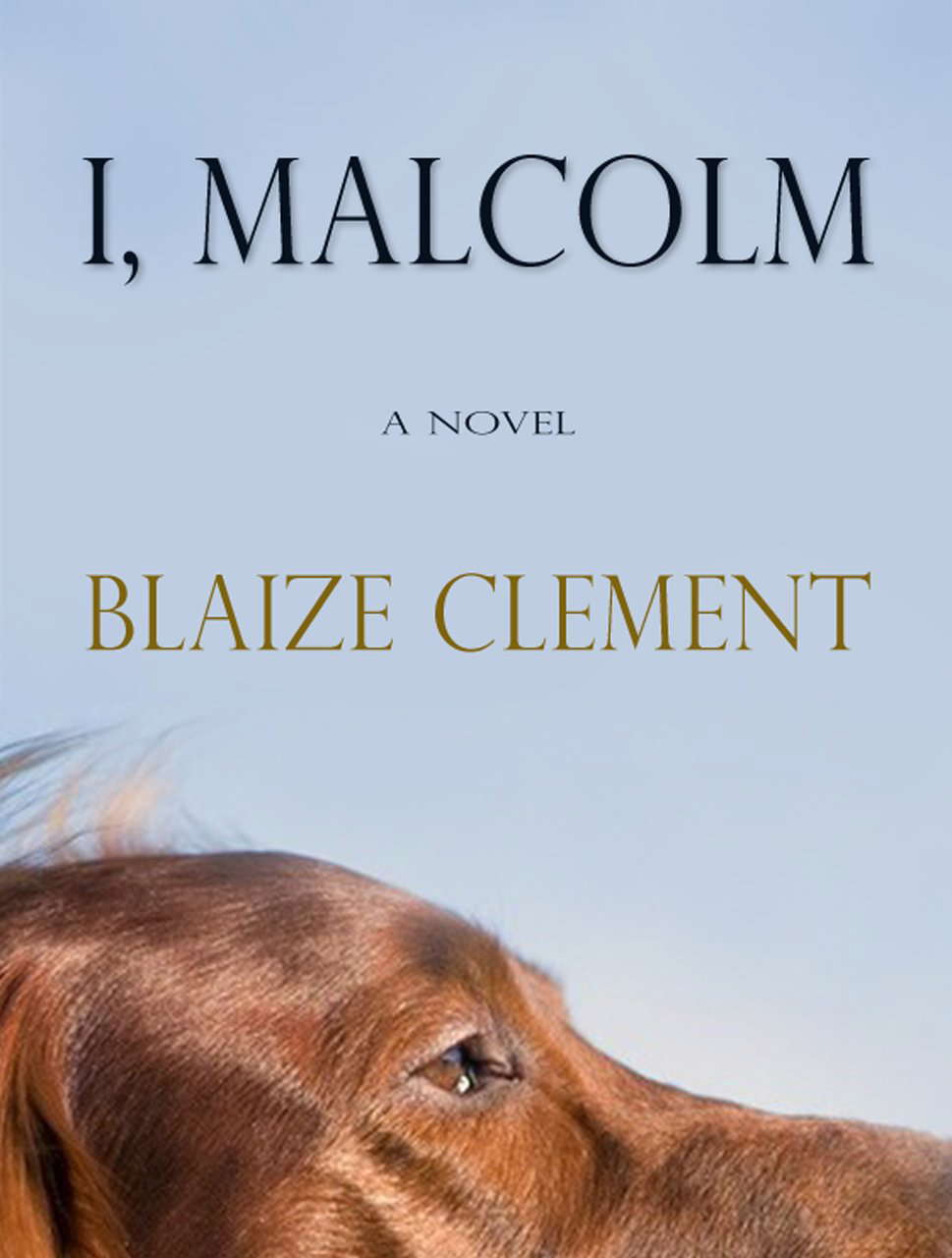 I, Malcolm poster