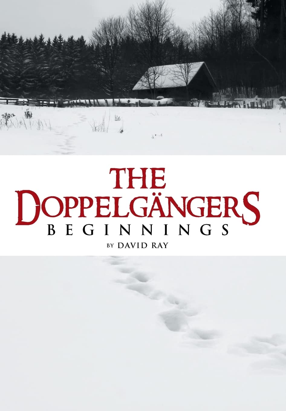 The Doppelgangers: Beginnings poster