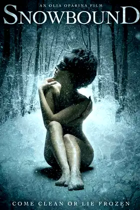 Snowbound poster
