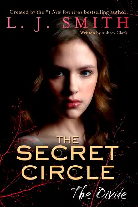 Secret Circle: The Divide, The: 4 poster