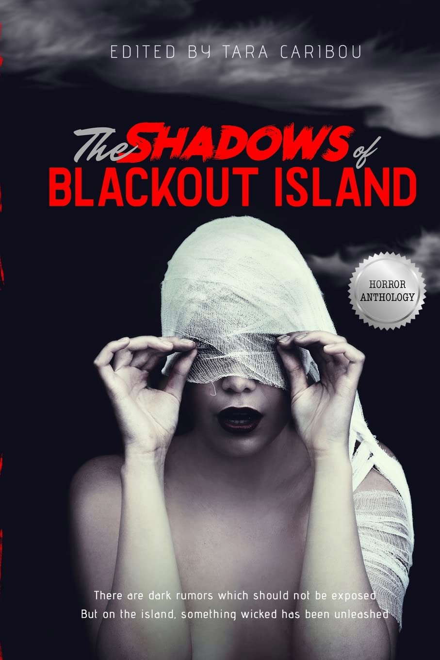 The Shadows of Blackout Island poster