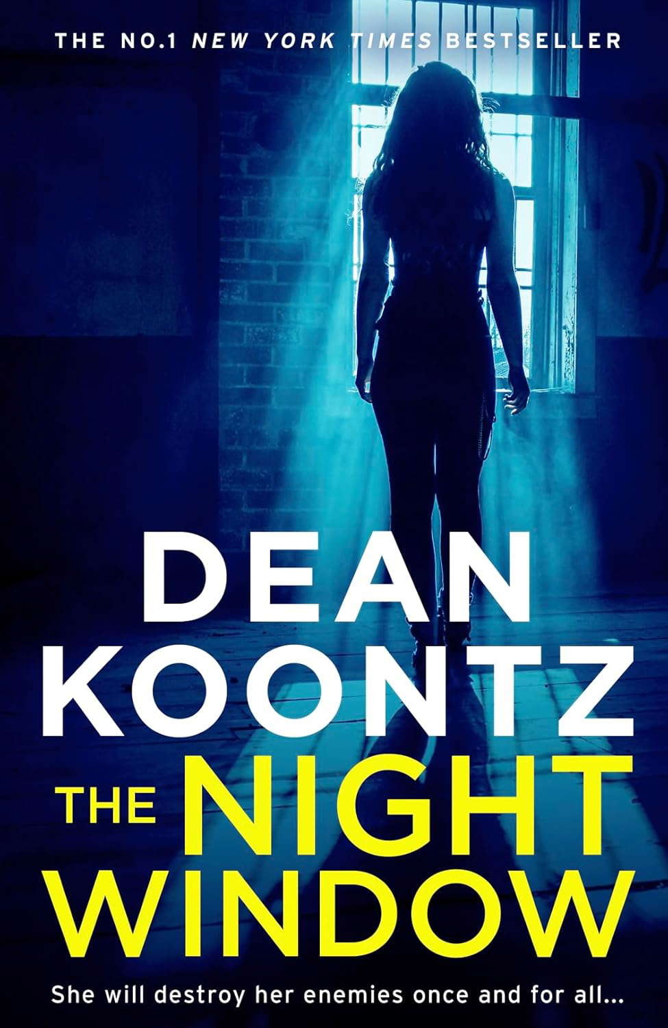 The Night Window (Jane Hawk Thriller, Book 5) poster