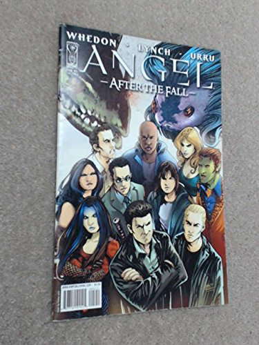 Angel - After the Fall: Issue 6 (Angel: After the Fall/ Season 6) poster