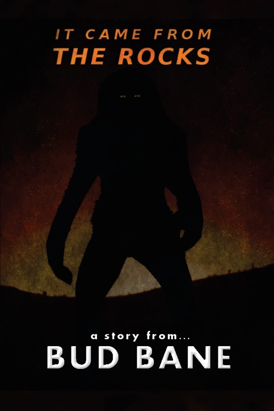 It Came From The Rocks poster