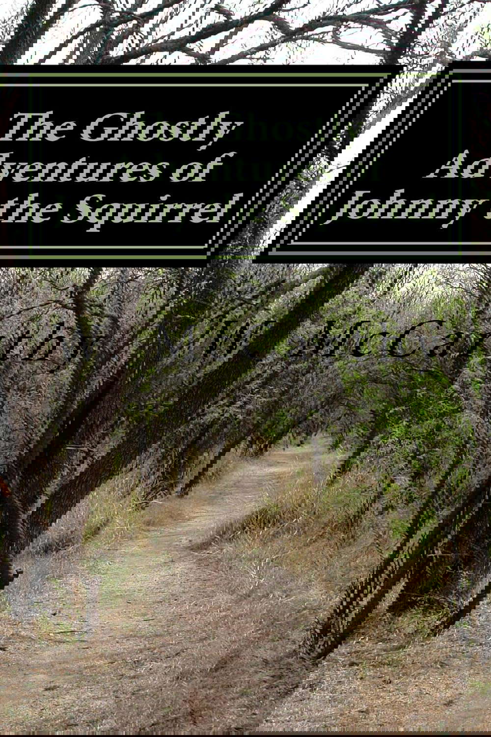 The Ghostly Adventures of Johnny the Squirrel poster