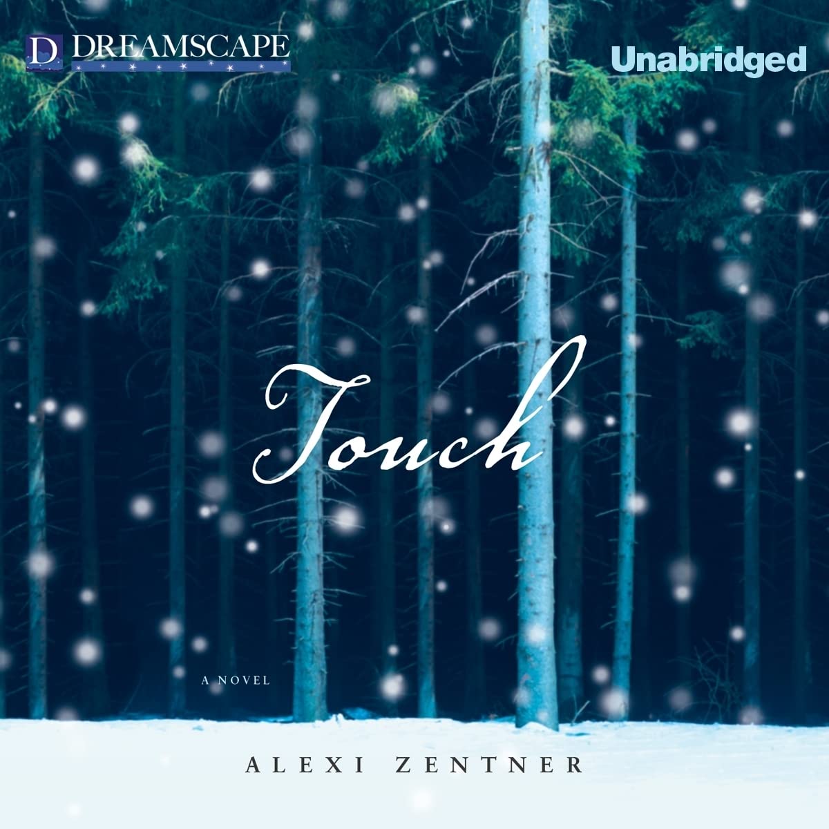 Touch: A Novel poster