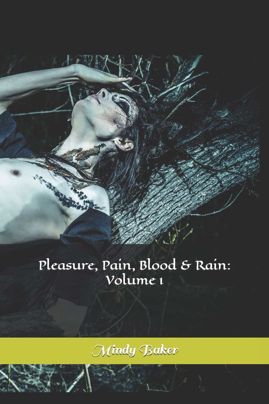 Pleasure, Pain, Blood & Rain: Volume 1 poster