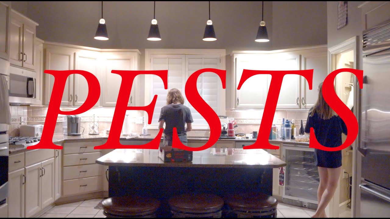 PESTS - A Short Horror Film (2022)