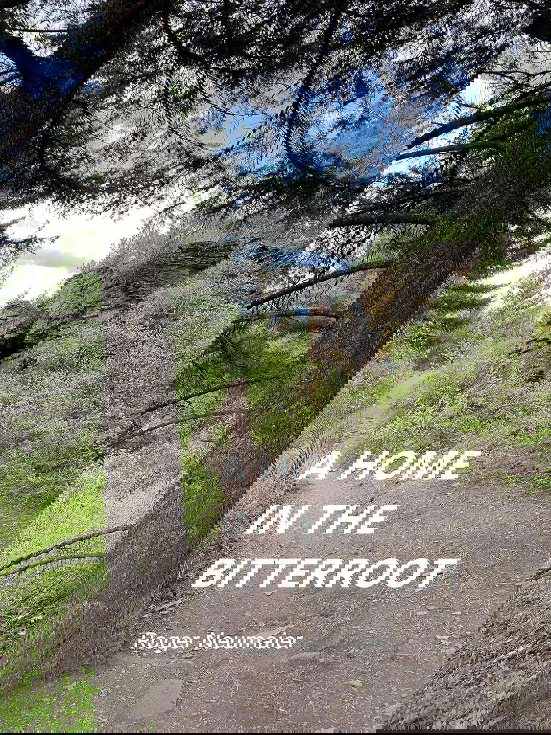 A Home in the Bitterroot poster