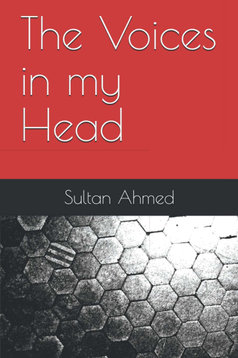 The Voices in my Head poster