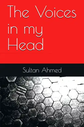 The Voices in my Head poster