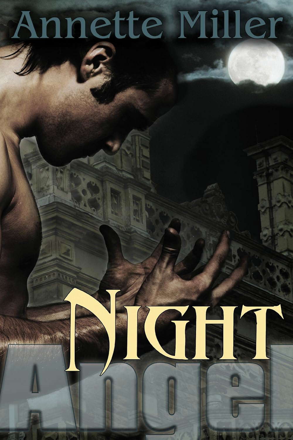 Night Angel (An Angel Haven Romance Book 1) poster
