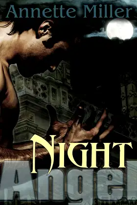 Night Angel (An Angel Haven Romance Book 1) poster