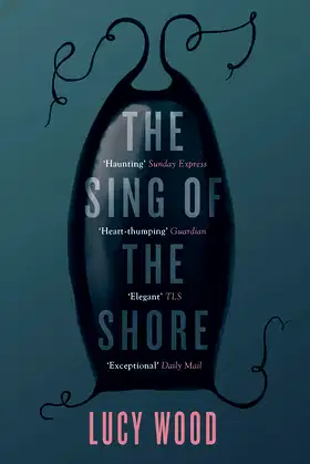 The Sing of the Shore poster
