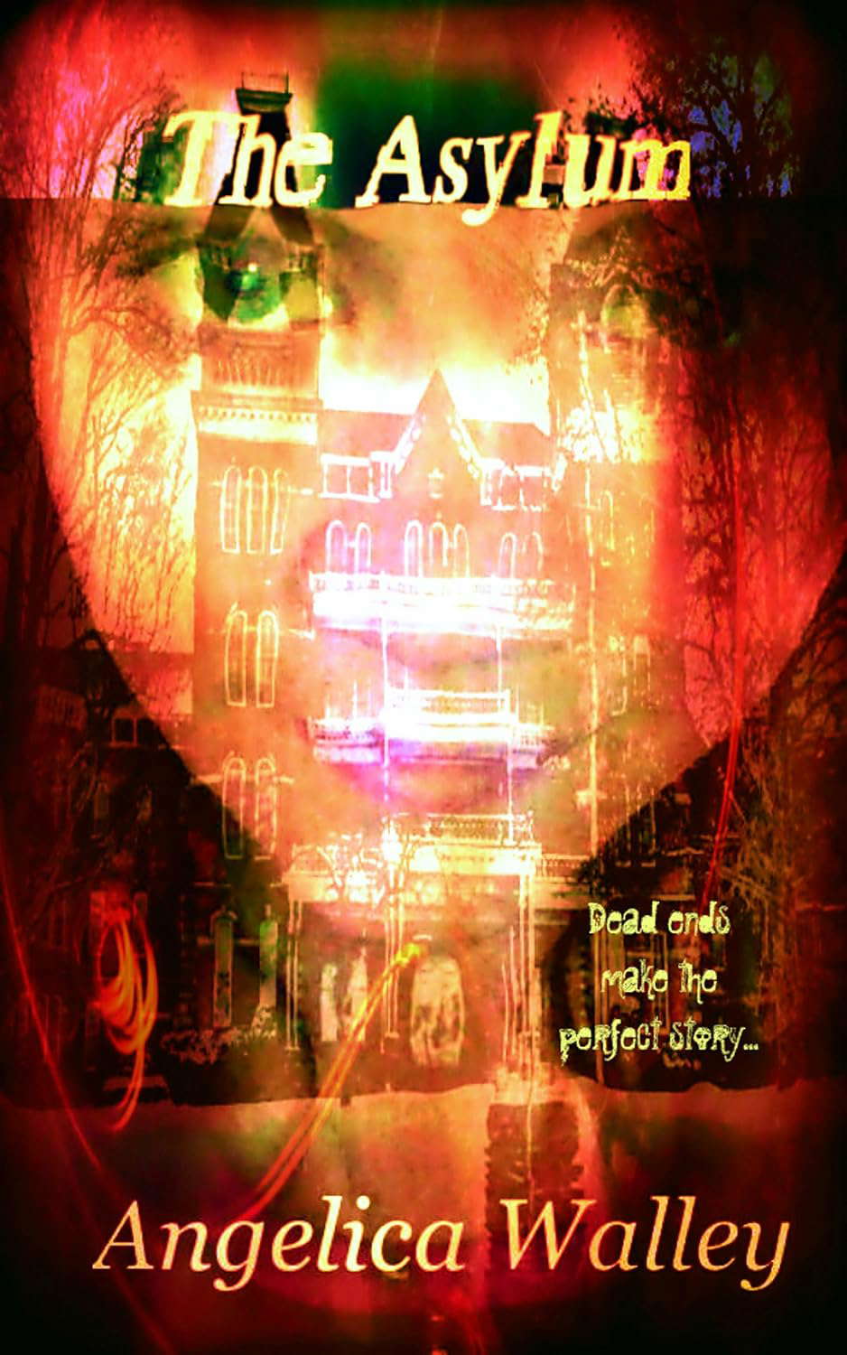 The Asylum (The Other Realm of Journalism Book 1) poster