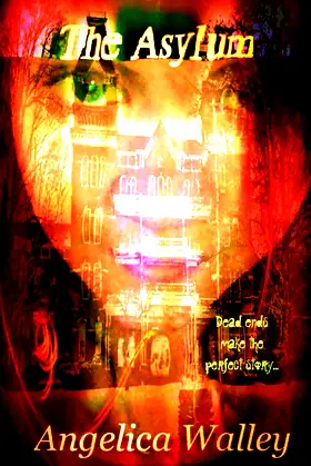 The Asylum (The Other Realm of Journalism Book 1) poster