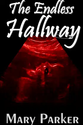 The Endless Hallway poster