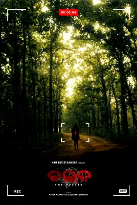 Baida poster