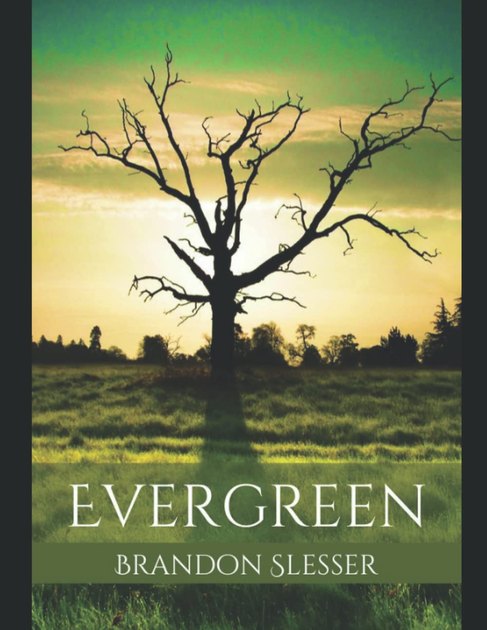 Evergreen: Evergreen Saga Book 1 poster