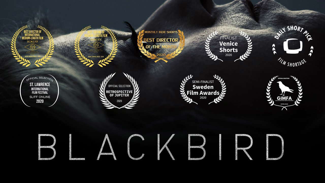 Blackbird | Award Winning Sci-Fi Short Film