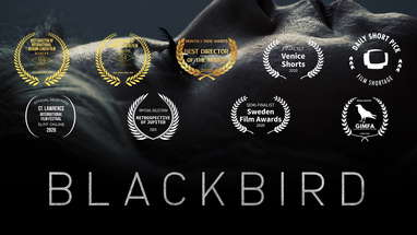 Blackbird | Award Winning Sci-Fi Short Film poster