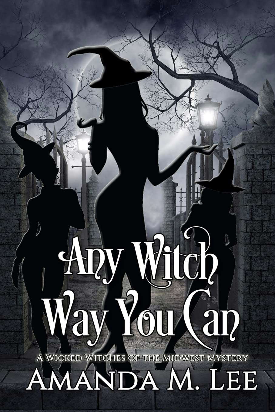 Any Witch Way You Can (Wicked Witches of the Midwest) poster