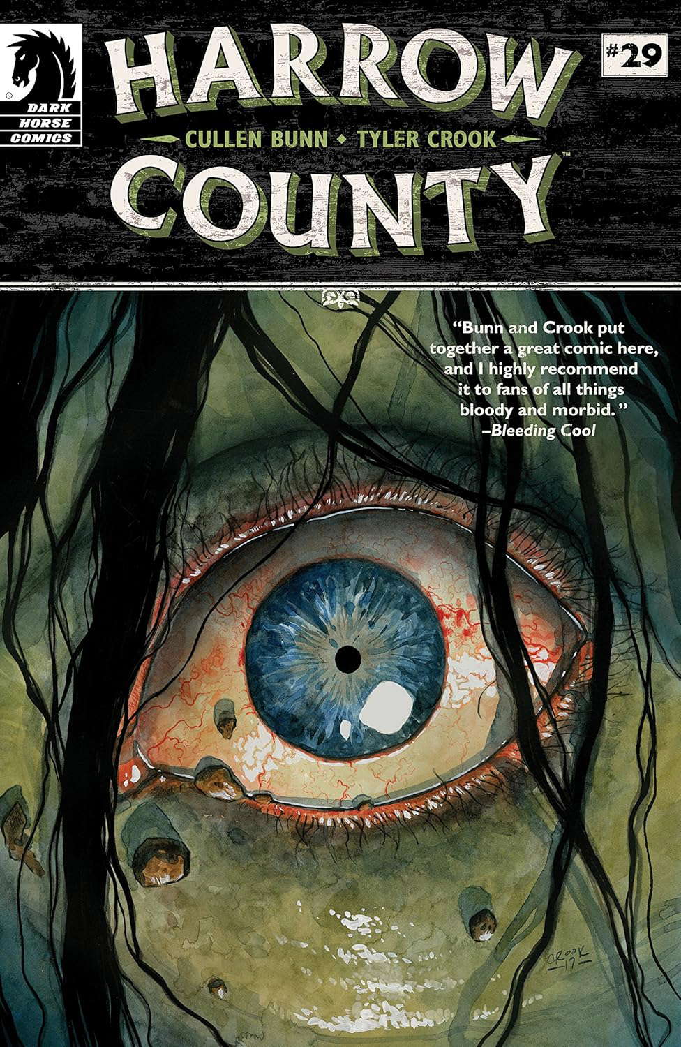 Harrow County #29 poster