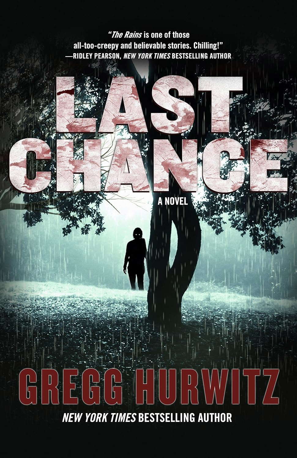 Last Chance: A Novel (The Rains Brothers, 2) poster