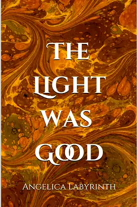 The Light Was Good poster