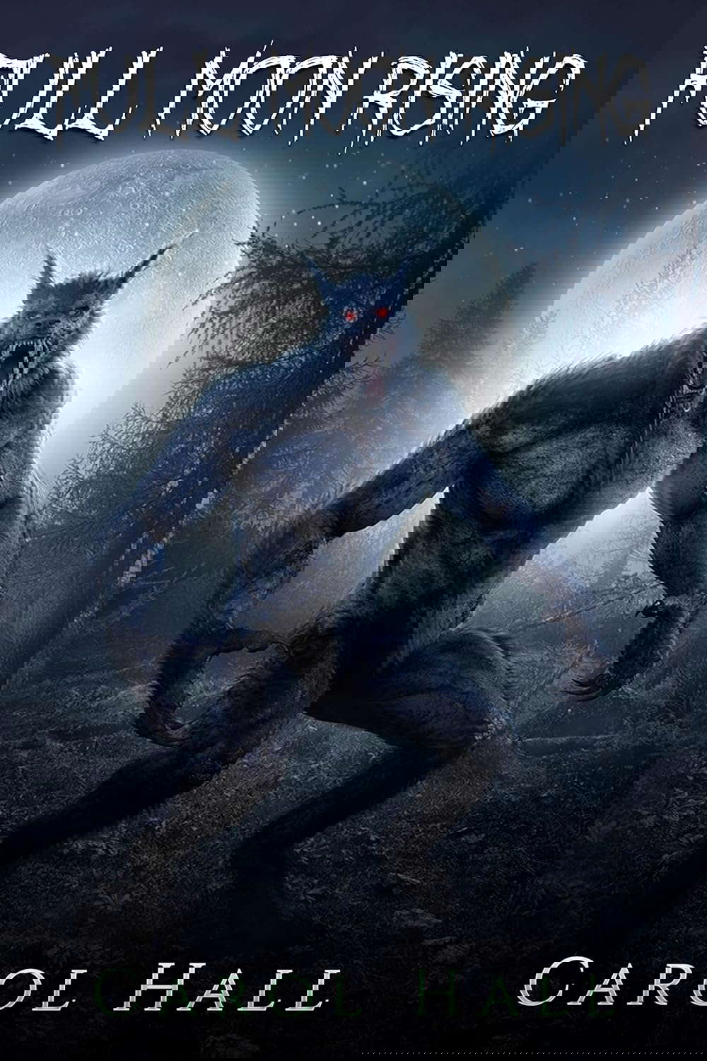 Full Moon Rising poster