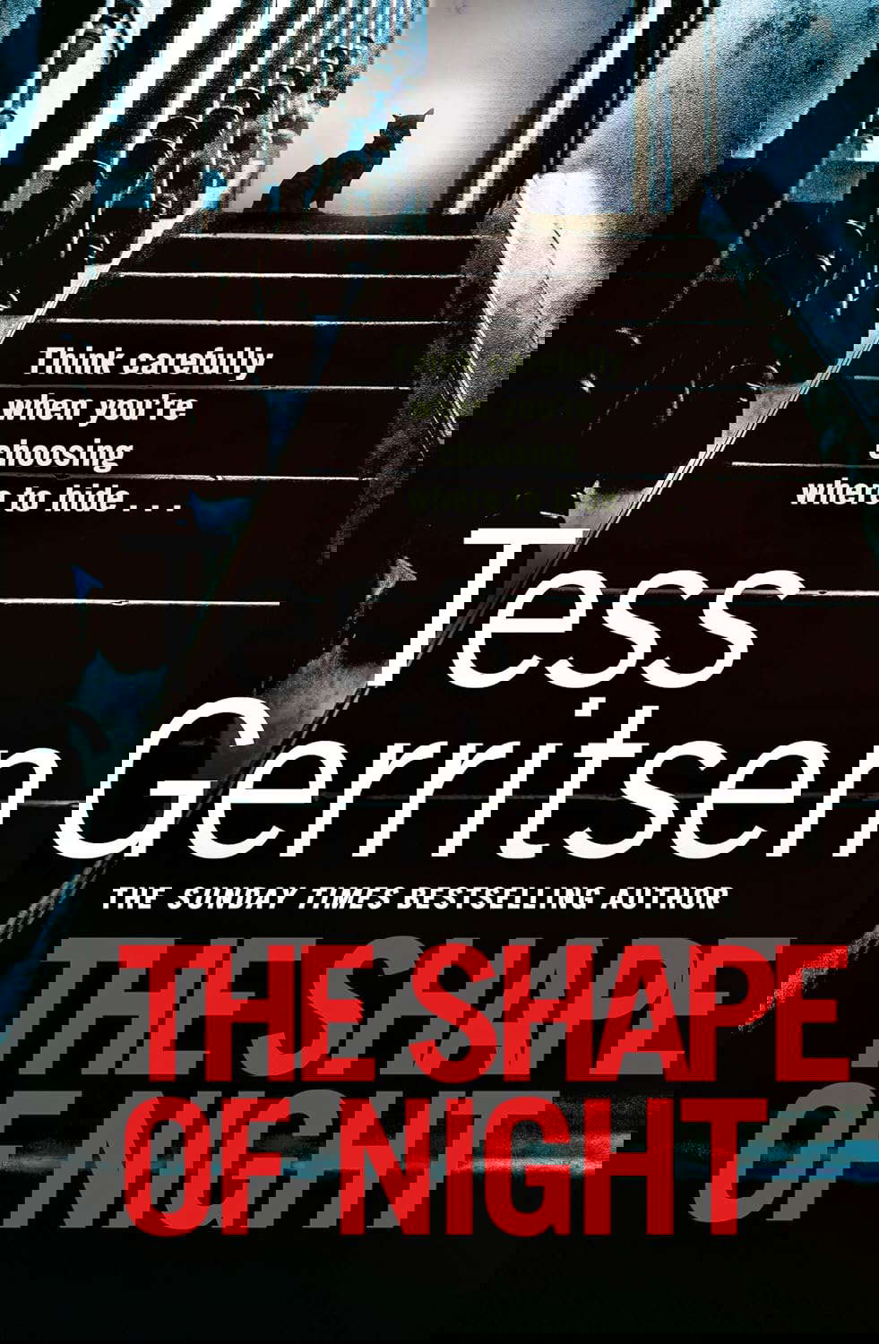 The Shape of Night poster