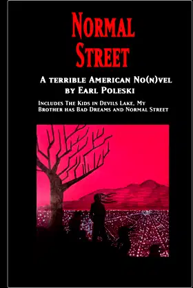 Normal Street: A Terrible American No(n)vel poster