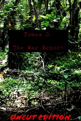 The War Report poster