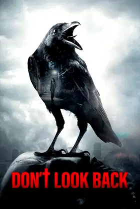 Don't Look Back poster