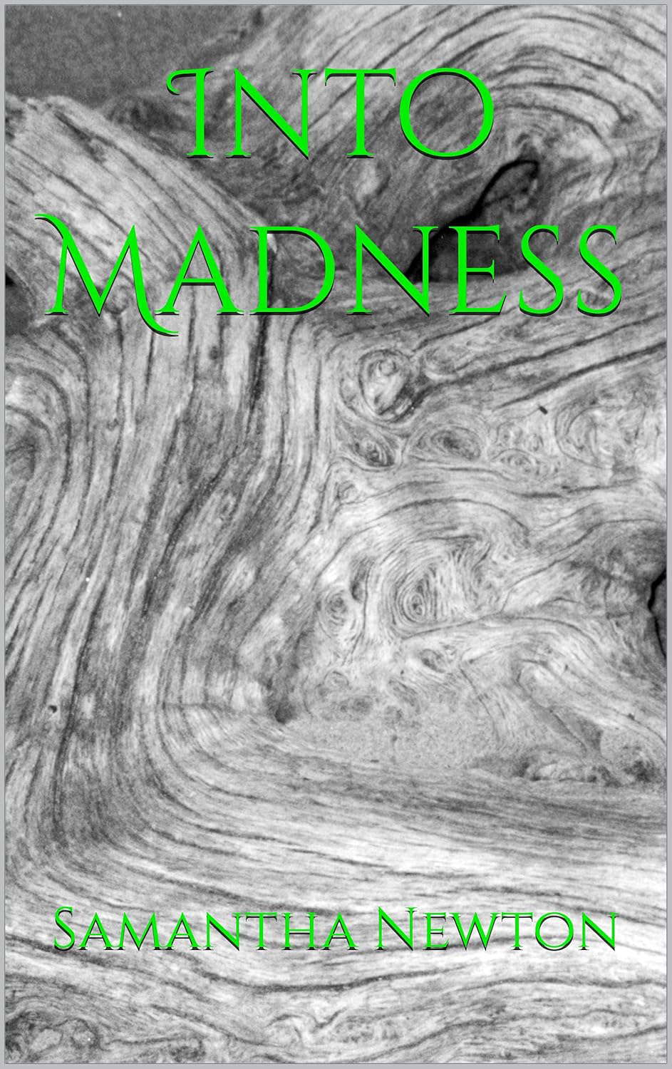 Into Madness (The Journey Book 1) poster
