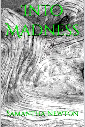 Into Madness (The Journey Book 1) poster