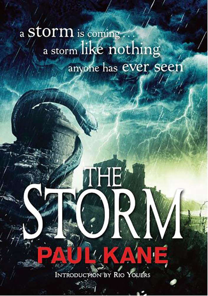 The Storm poster