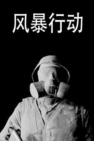风暴行动 poster