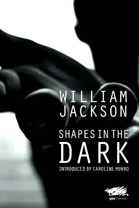 Shapes in the Dark poster