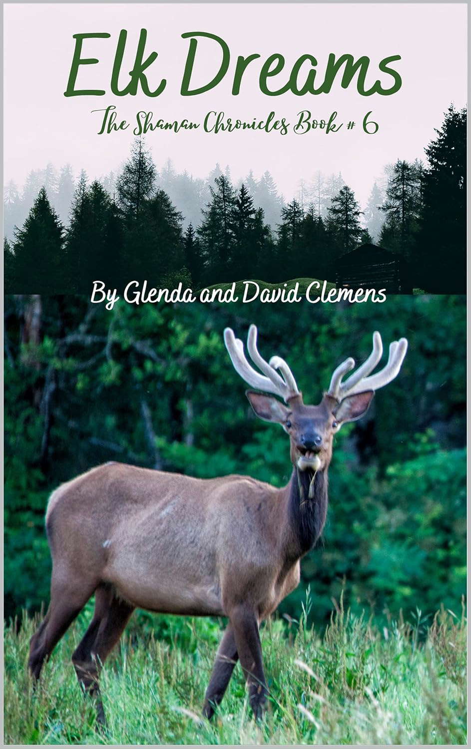 Elk Dreams (The Shaman Chronicles Book 6) poster