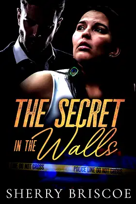 The Secret In The Walls (Moon Shadows Book 2) poster