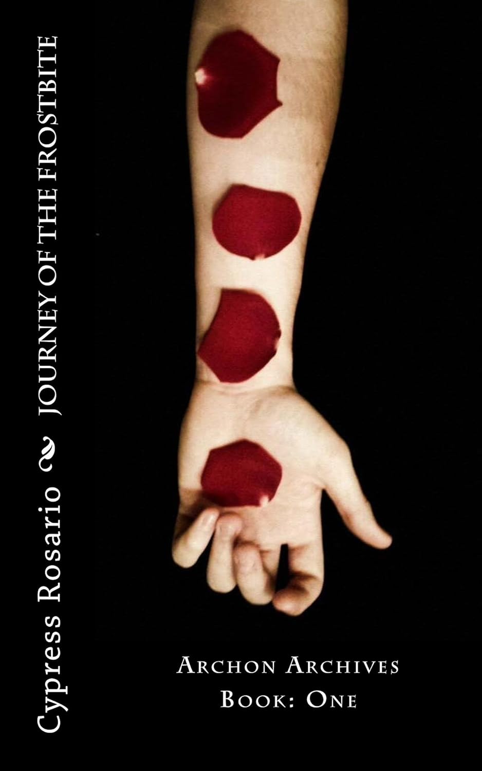 Journey Of The Frostbite: Archon Archives (Zero Afflet Book 1) poster