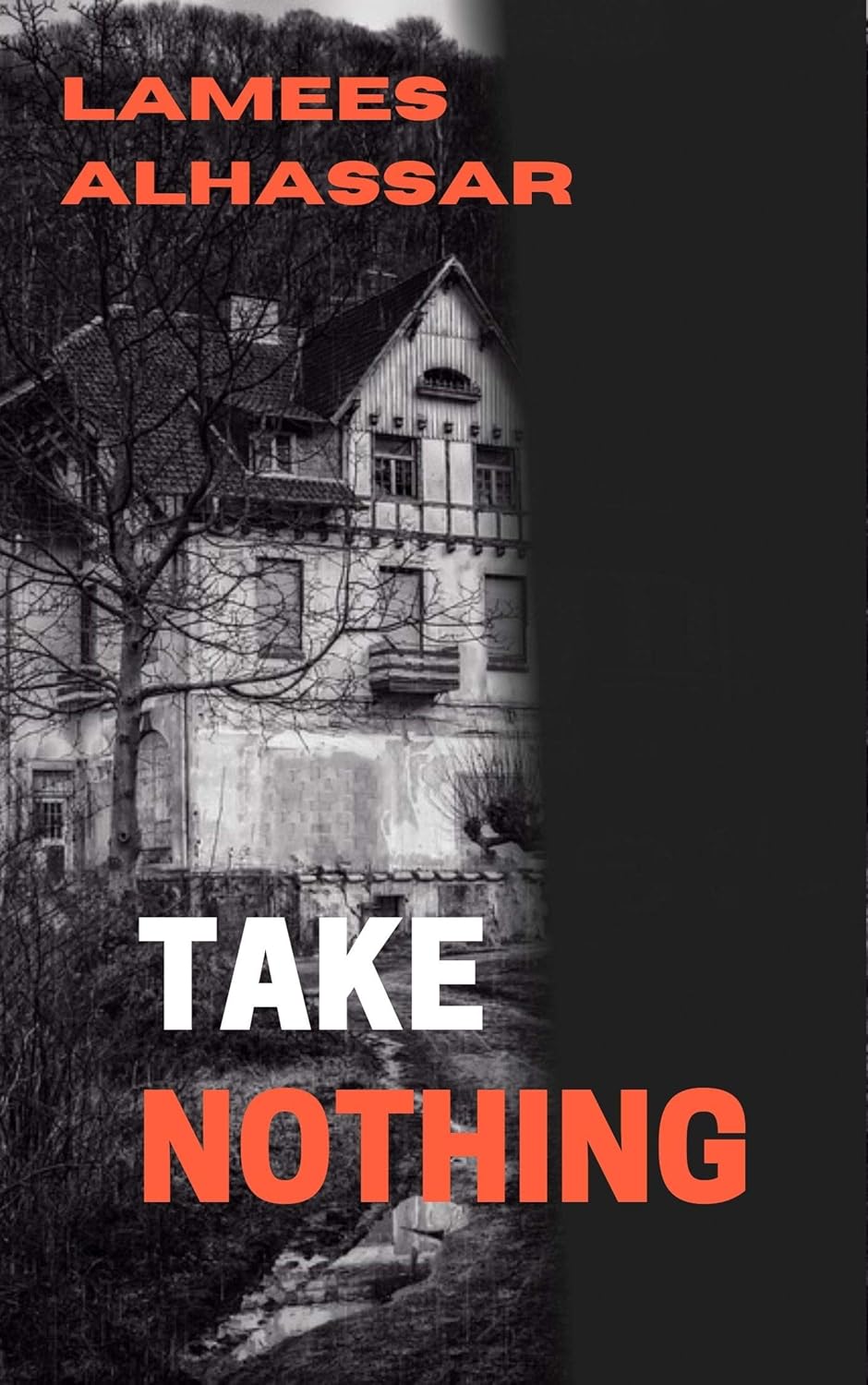 TAKE NOTHING poster