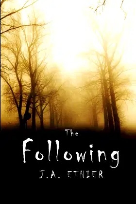 The Following poster