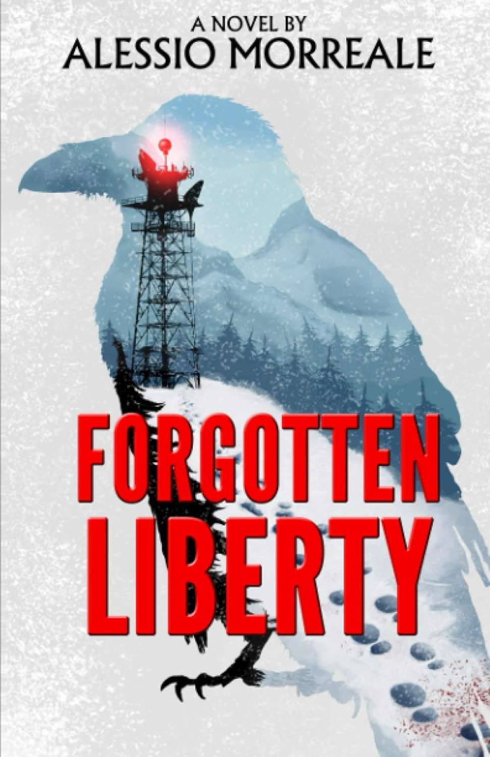 Forgotten Liberty poster