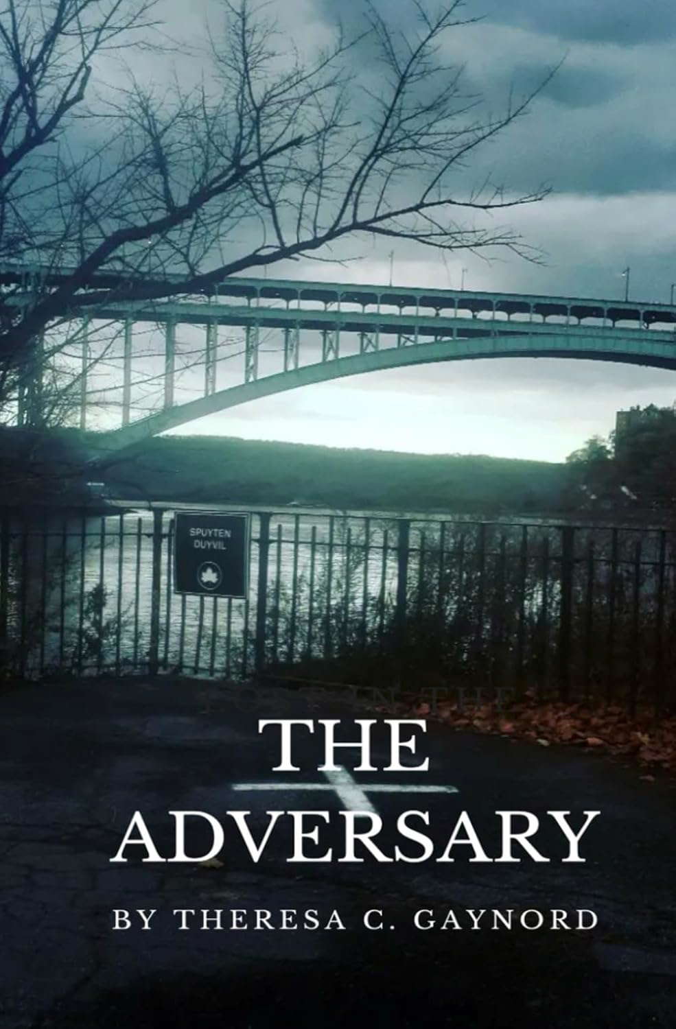 The Adversary poster