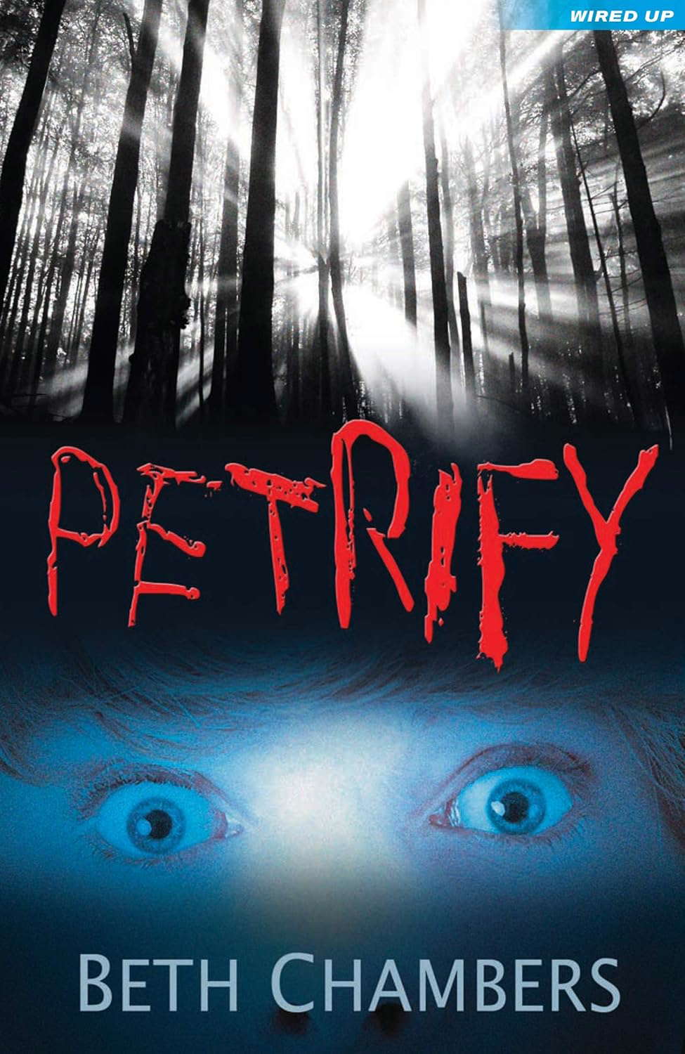 Petrify (Wired Up) poster