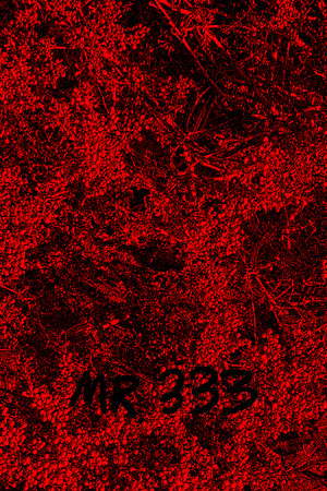 MR 333 poster