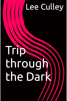 Trip through the Dark (Mary Singltree Hunter in the Dark series Book 1) poster